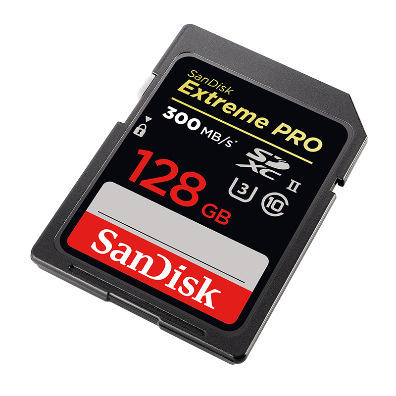 SanDisk SDSDXXY-128G-ANCIN Extreme Pro SDXC Memory Card 128GB UHS-I Up to 170MB/s read speeds from Am-Dig