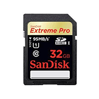 SanDisk SDSDXP-032G-A46: Pro SDHC Memory Card 32GB SanDisk SDSDXP-032G-A46: Pro SDHC Memory Card 32GB